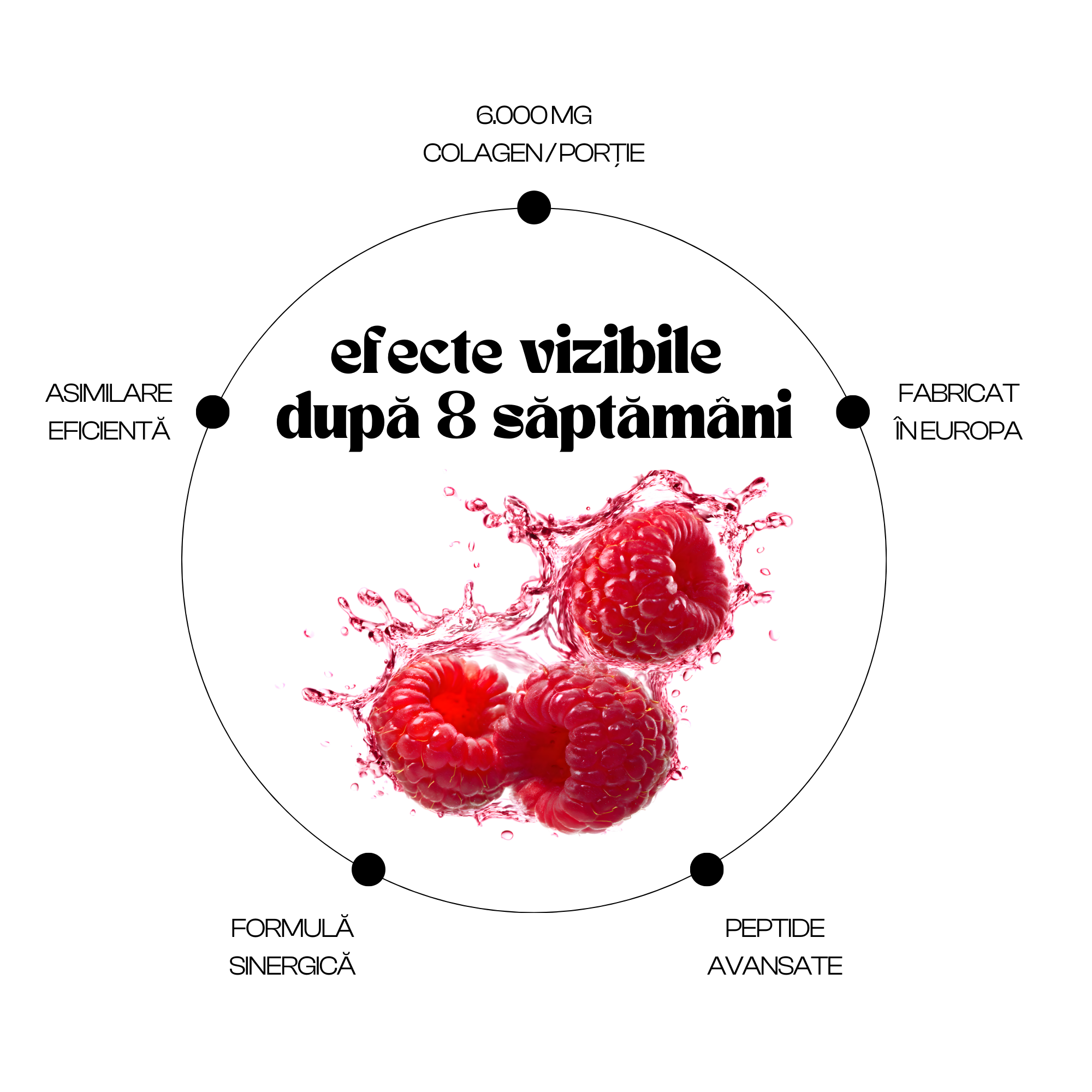 vital 8 - colagen cu acid hialuronic